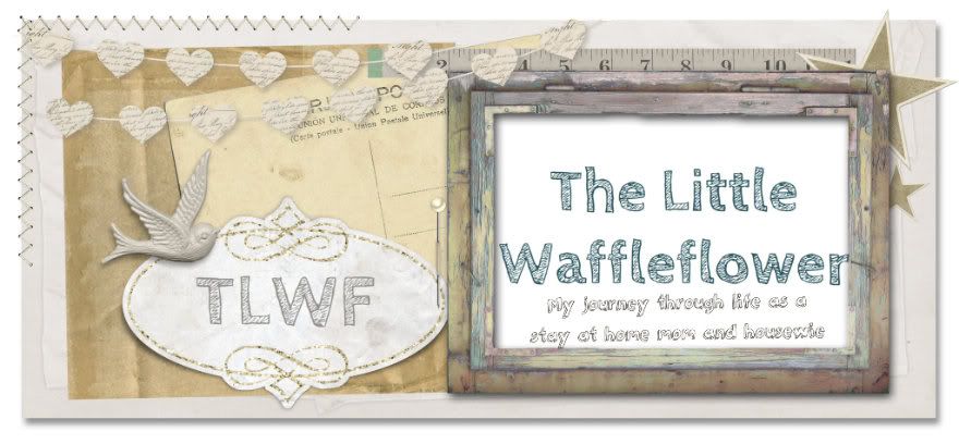 The Little Waffleflower