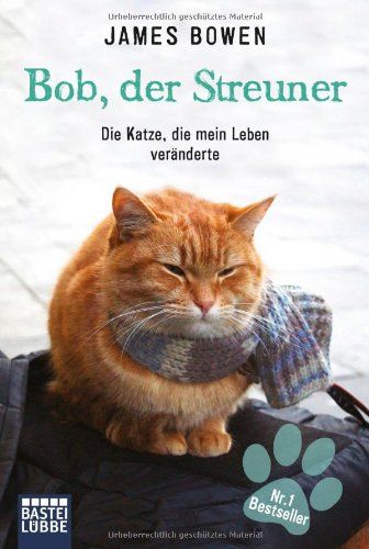 photo bobderstreuner.jpg