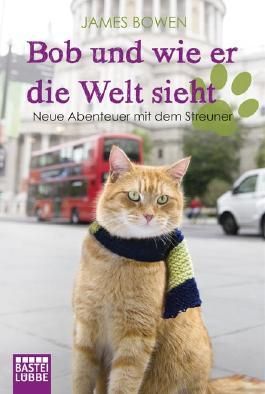 photo bob und wie er die welt sieht.jpg