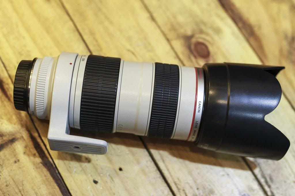 70-200f2.8 code UA 98%...19tr5 - 1