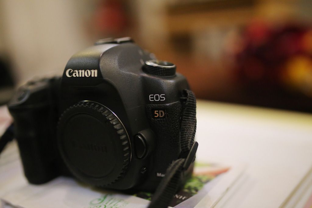 Body 5d mark ii.xách tay us cực chất cho a e khó tính...19k - 1