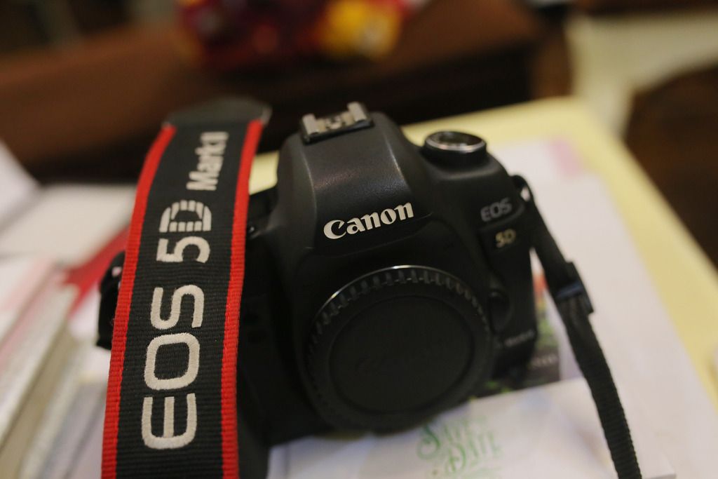 Body 5d mark ii.xách tay us cực chất cho a e khó tính...19k - 3