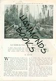 Image for Article: Lumbering by Machinery