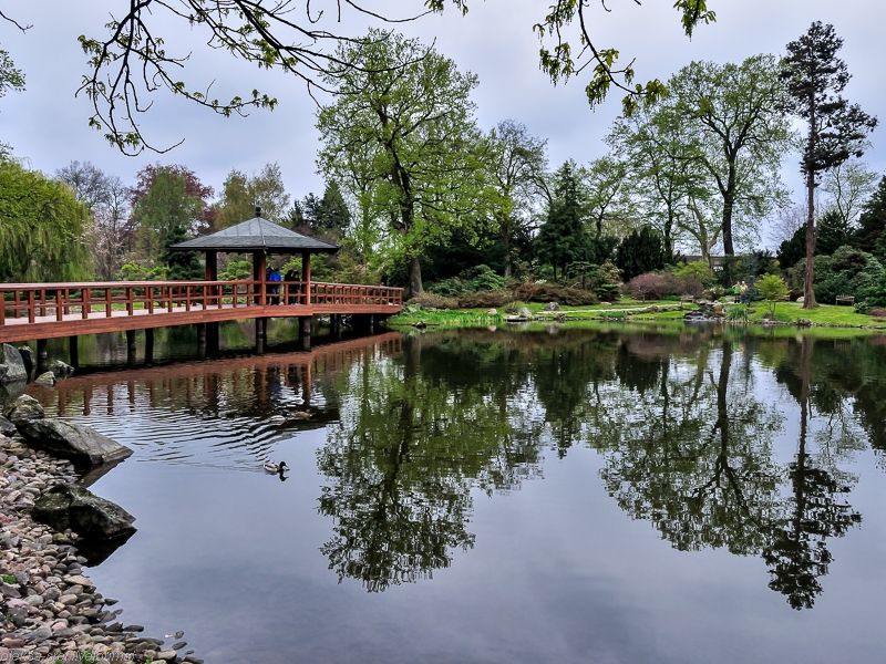 Wroclaw Japanese Garden Wroclaw Japanese Garden