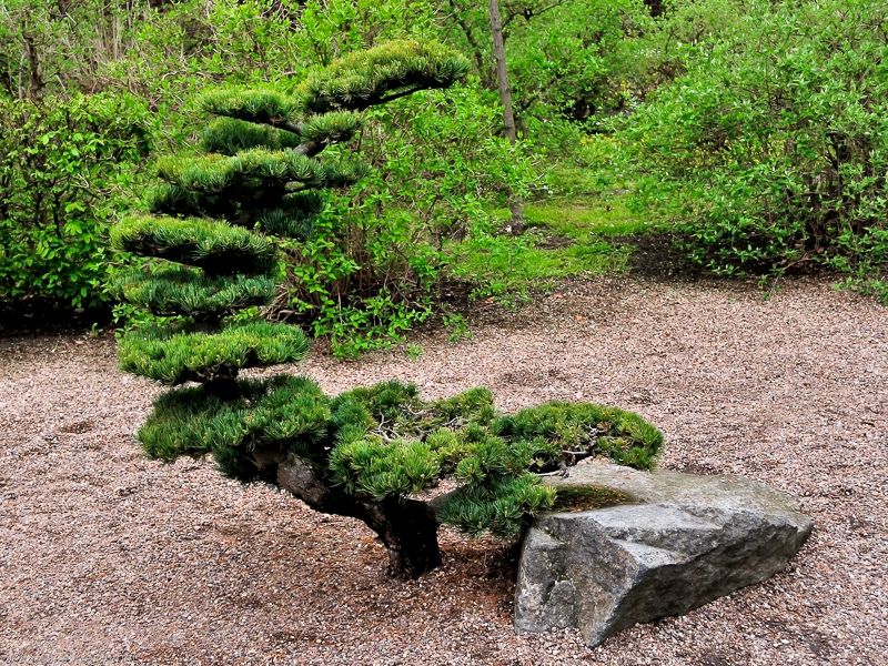 Wroclaw Japanese Garden Wroclaw Japanese Garden