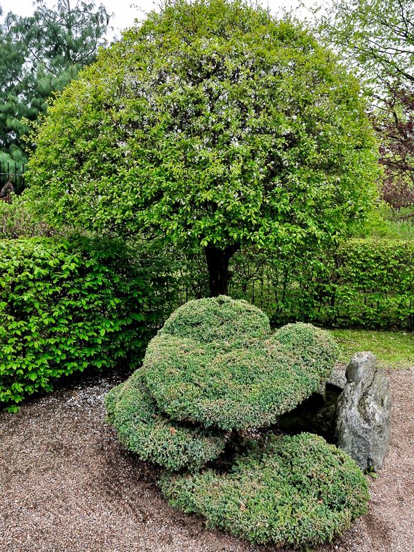 Wroclaw Japanese Garden Wroclaw Japanese Garden
