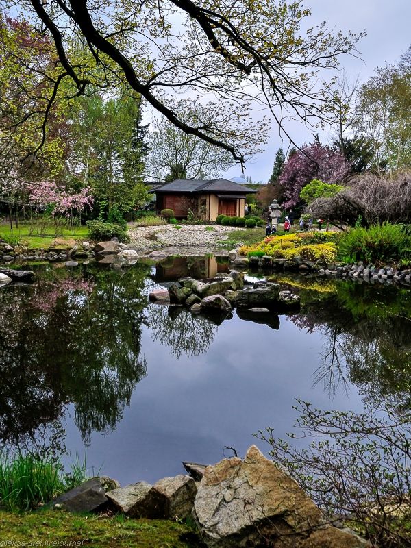 Wroclaw Japanese Garden Wroclaw Japanese Garden