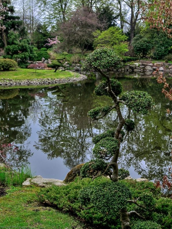 Wroclaw Japanese Garden Wroclaw Japanese Garden