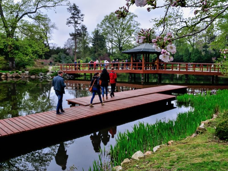 Wroclaw Japanese Garden Wroclaw Japanese Garden
