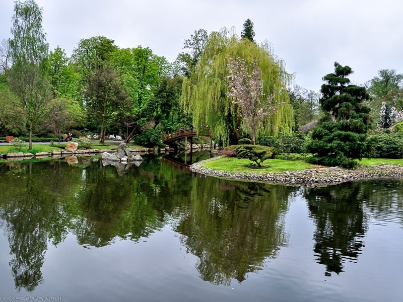 Wroclaw Japanese Garden Wroclaw Japanese Garden