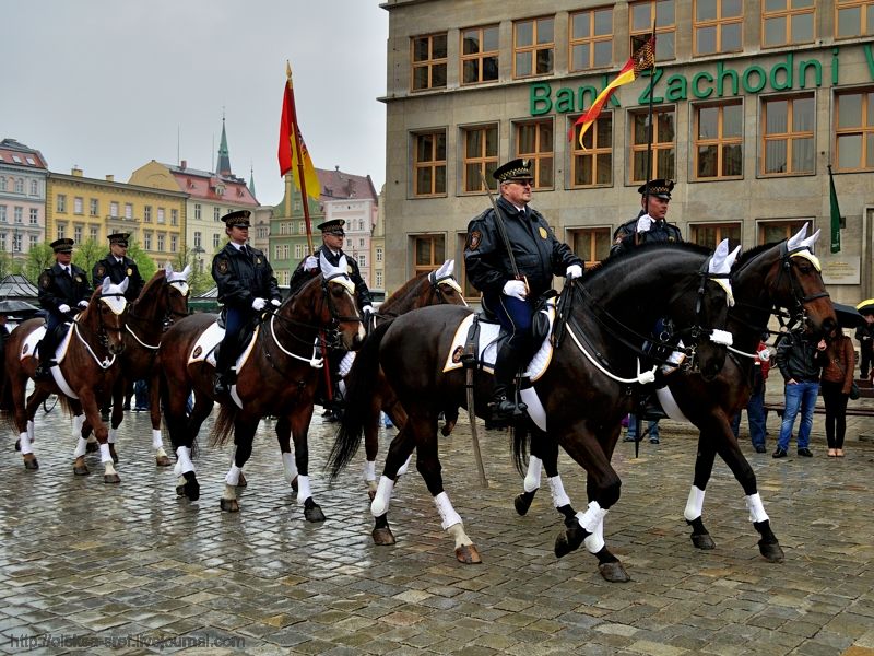 Wroclaw. Rynek Wroclaw. Rynek