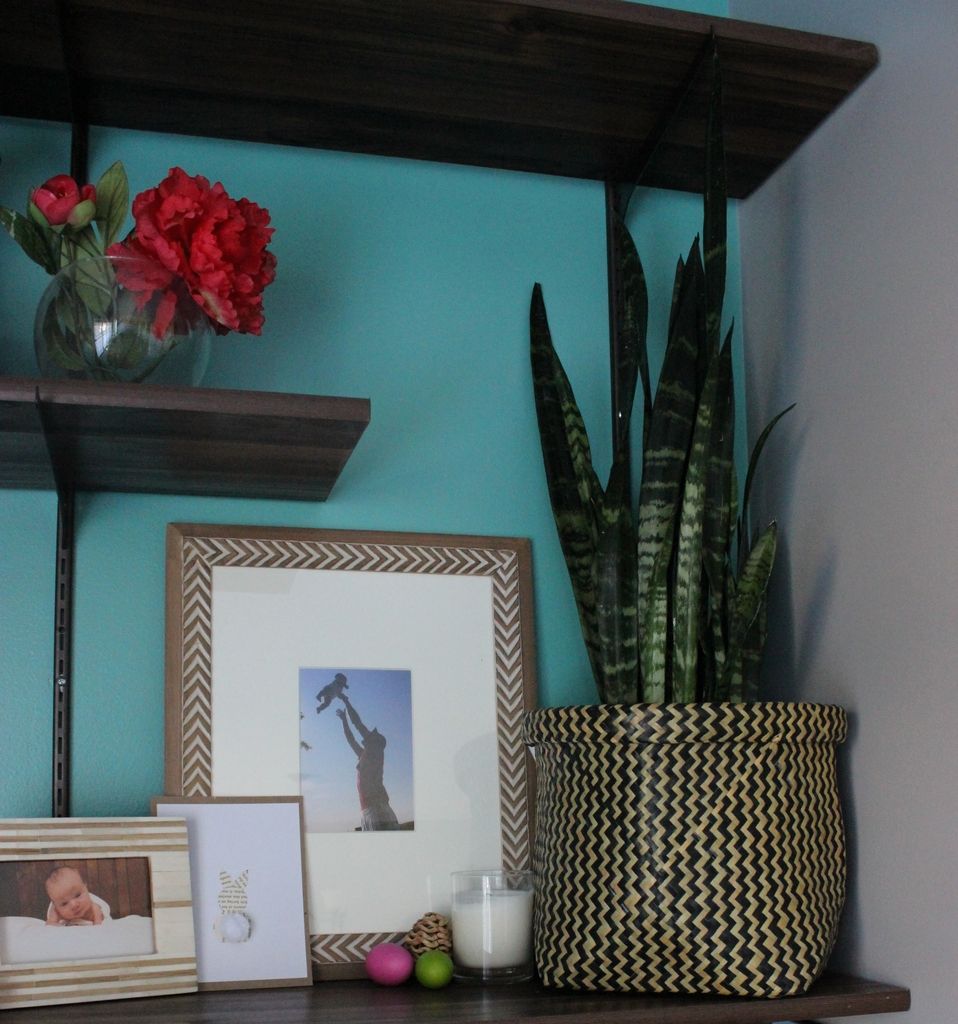 snake plant in a hand woven basket