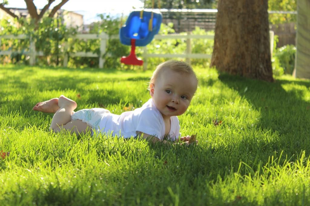 grass and swing