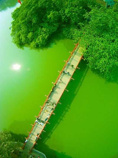 http://getvietnamvisa.org