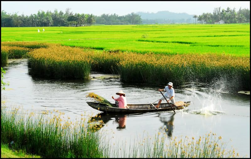 Ra Đồng http://getvietnamvisa.org