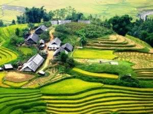 Terraced fields Terraced fields - http://getvietnamvisa.org
