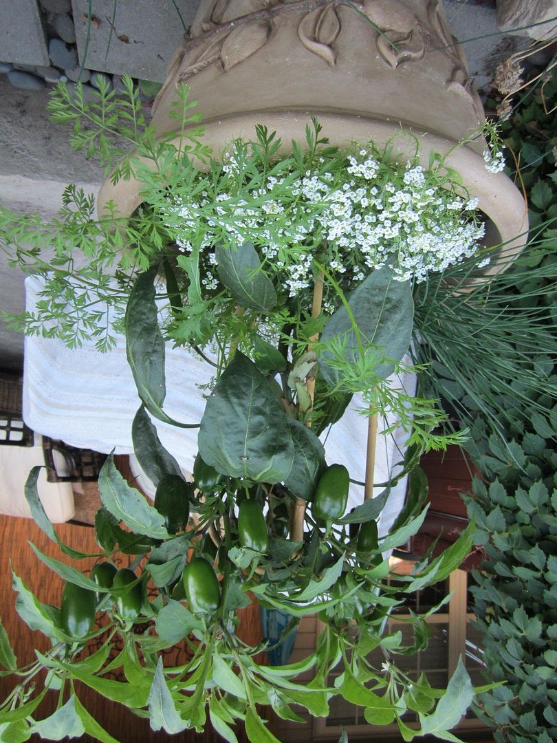 301 Moved Permanently