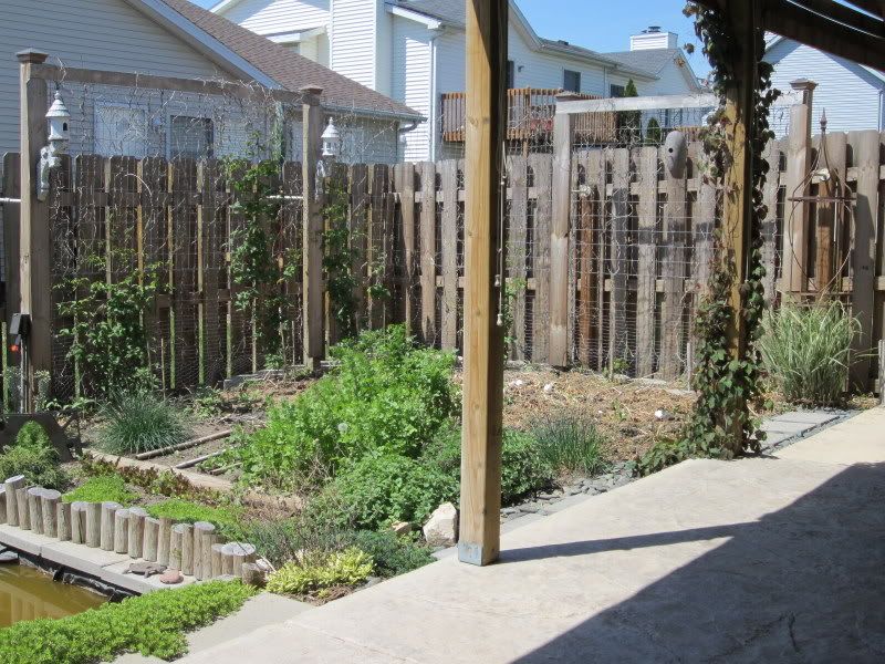 found garden trellises | My Urban Garden Oasis