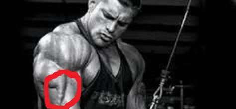 tricep.jpg