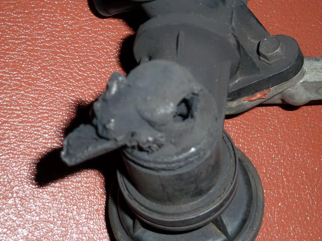 6d3b1c19.jpg