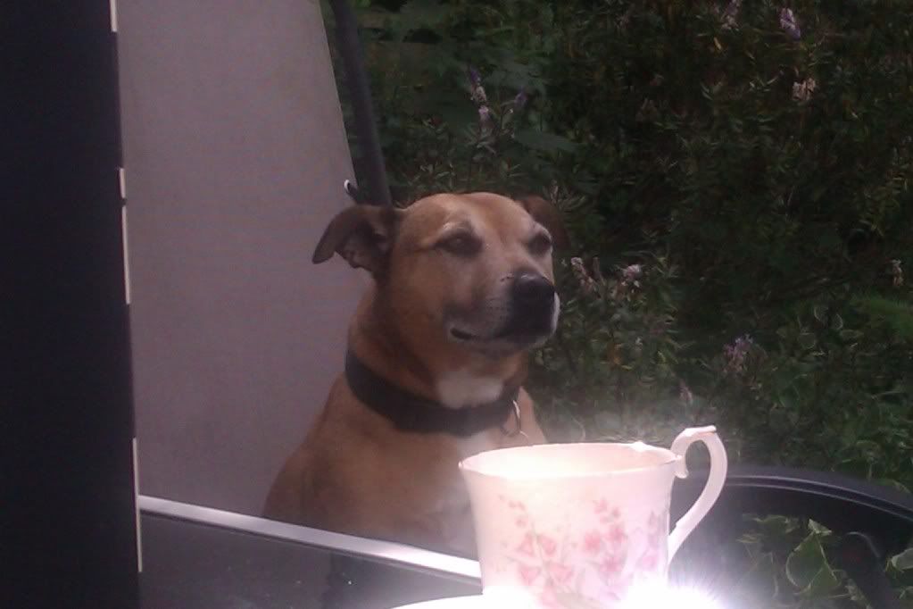 IMAG0211.jpg