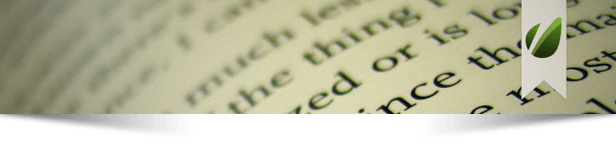 lower third